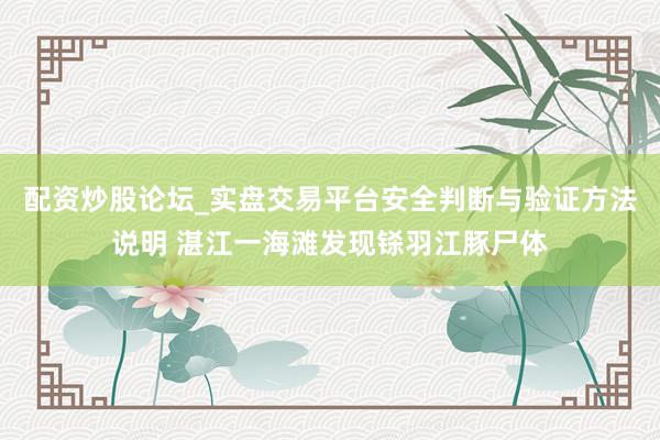 配资炒股论坛_实盘交易平台安全判断与验证方法说明 湛江一海滩发现铩羽江豚尸体