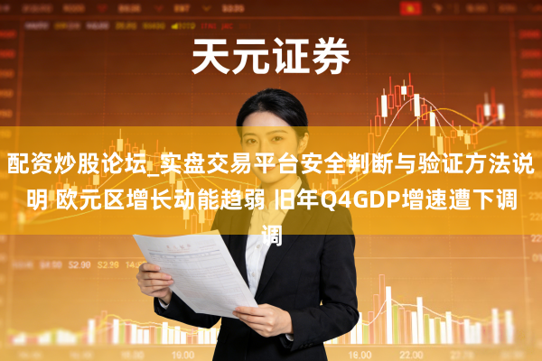 配资炒股论坛_实盘交易平台安全判断与验证方法说明 欧元区增长动能趋弱 旧年Q4GDP增速遭下调