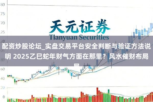 配资炒股论坛_实盘交易平台安全判断与验证方法说明 2025乙巳蛇年财气方面在那里？风水催财布局