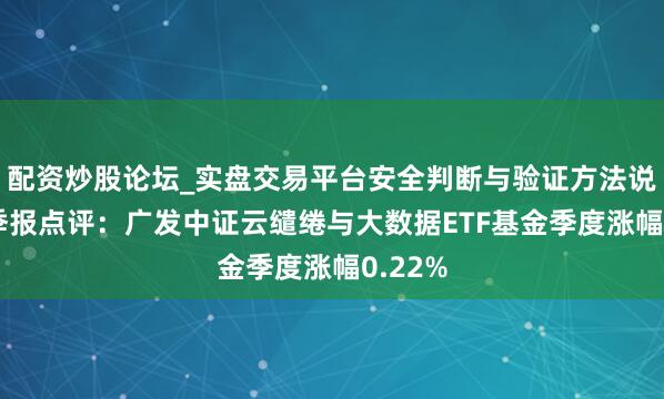 配资炒股论坛_实盘交易平台安全判断与验证方法说明 四季报点评：广发中证云缱绻与大数据ETF基金季度涨幅0.22%