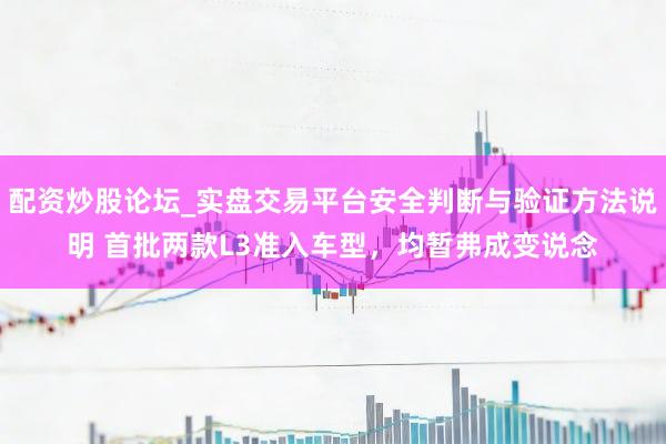 配资炒股论坛_实盘交易平台安全判断与验证方法说明 首批两款L3准入车型，均暂弗成变说念